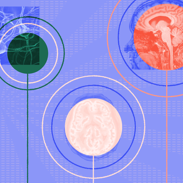 The Online Brain