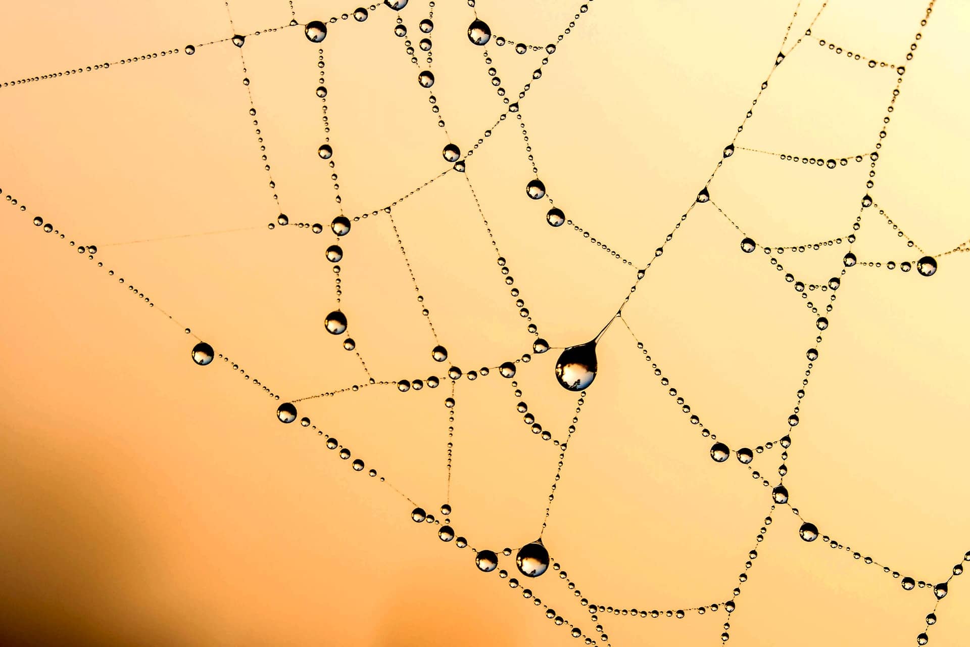 The Global Potential of BGP Flowspec: How Adopting The Underutilized Networking Tool Can Help Our DDoS Problem