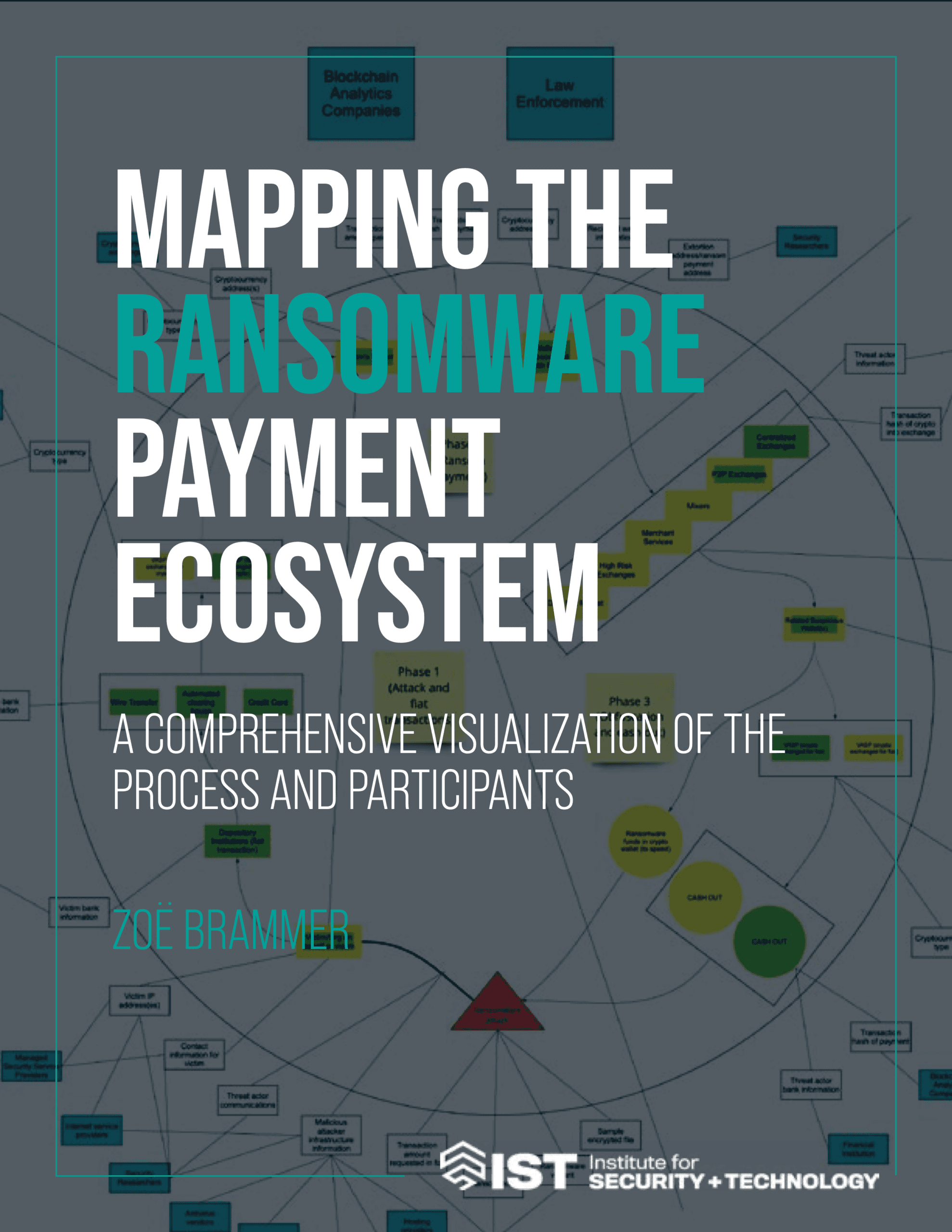 Mapping the Ransomware Payment Ecosystem: A Comprehensive Visualization of the Process and Participants